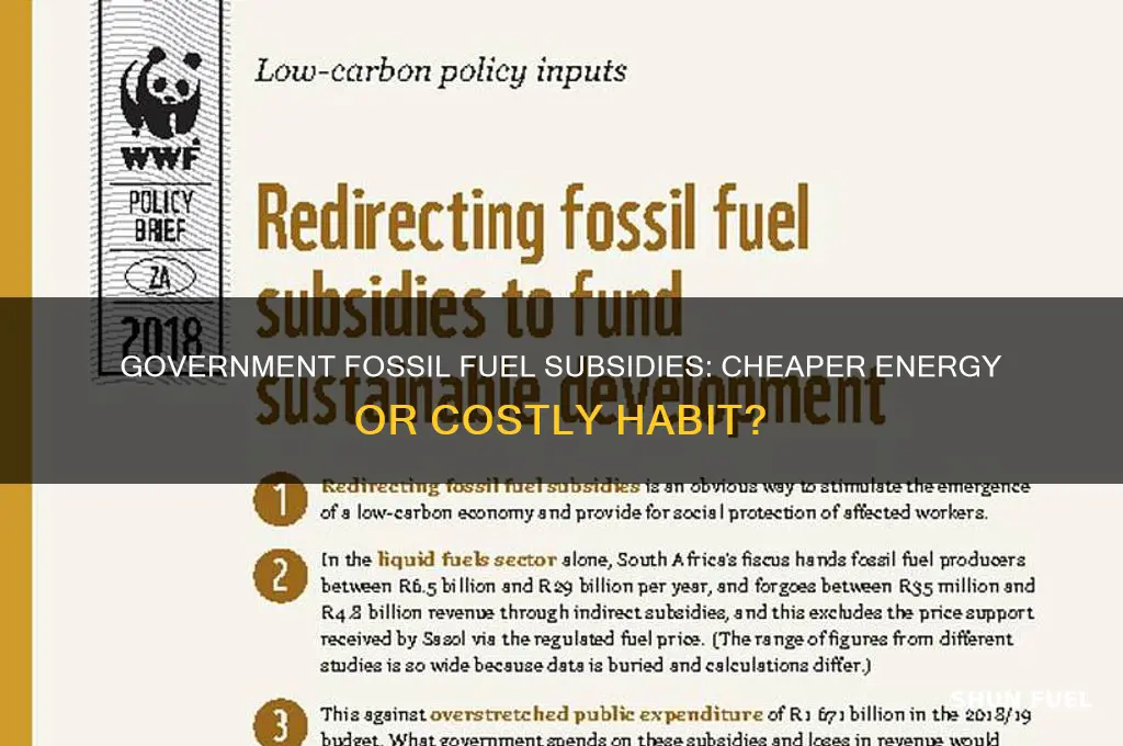 does the government get fossil fuels cheaper because they subsidize