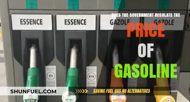 Exploring Government Intervention in Gasoline Pricing: A Comprehensive Analysis