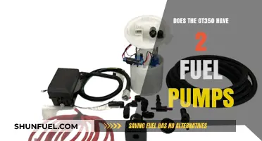 GT350 Fuel System: Exploring the Dual Pump Setup
