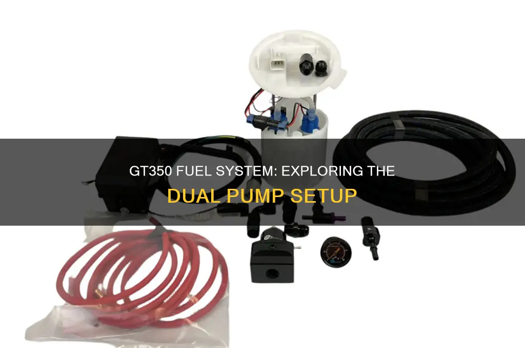 does the gt350 have 2 fuel pumps