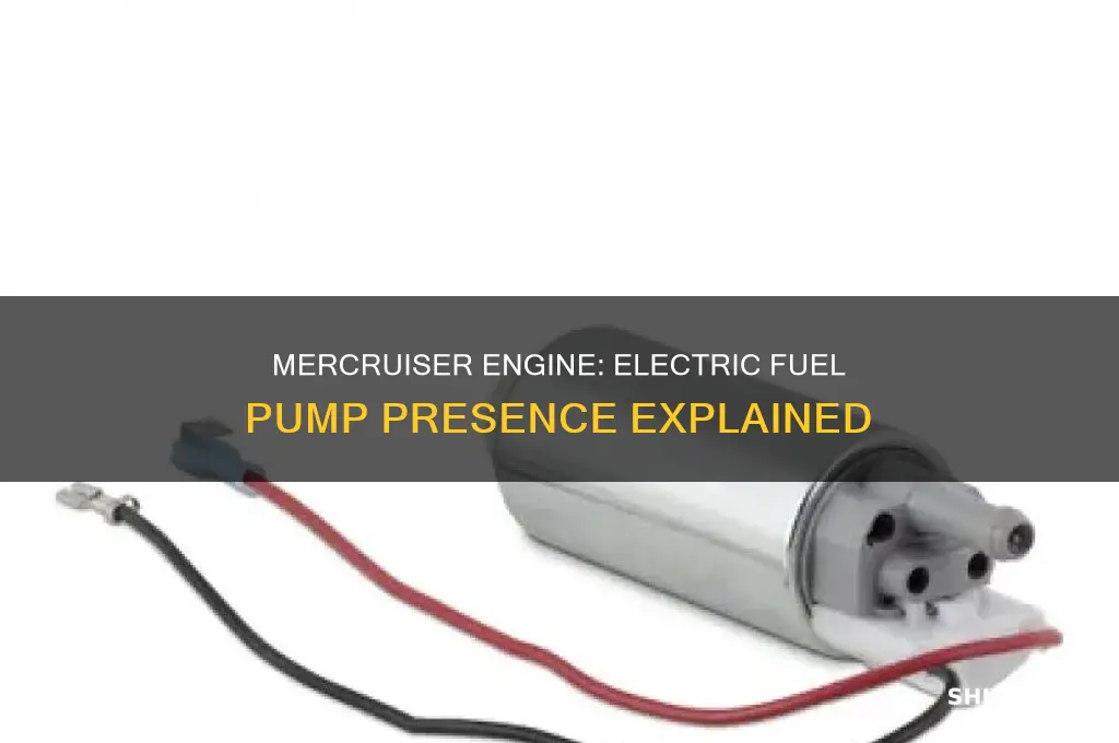 does the mercruise ebgine have a electric fuel pump