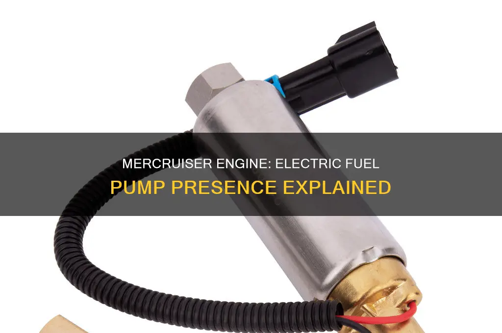 does the mercruiser engine have a electric fuel pump
