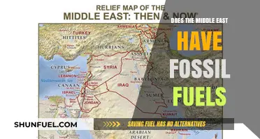 The Middle East's Abundant Fossil Fuel Resources