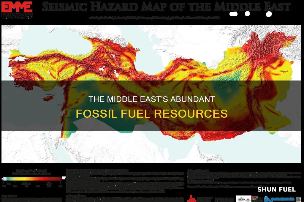 does the middle east have fossil fuels