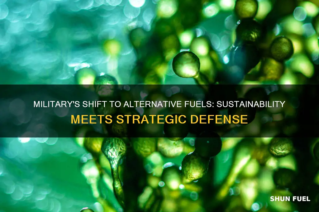 does the military use alternative fuels