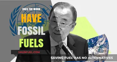 The Moon's Fossil Fuel Mystery: What's the Truth?