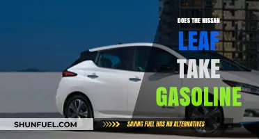Exploring the Nissan Leaf: A Pure Electric Vehicle, No Gasoline Required