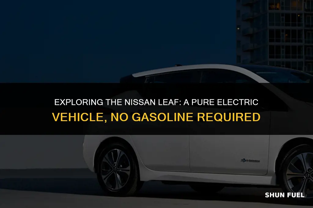does the nissan leaf take gasoline