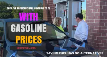 Decoding the President's Role in Gasoline Price Fluctuations