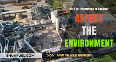 Environmental Impact of Gasoline Production: A Critical Analysis