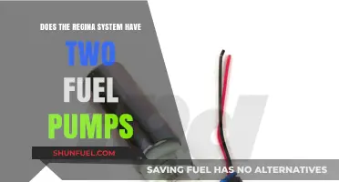 Regina System Fuel Pumps: Exploring the Dual Pump Configuration