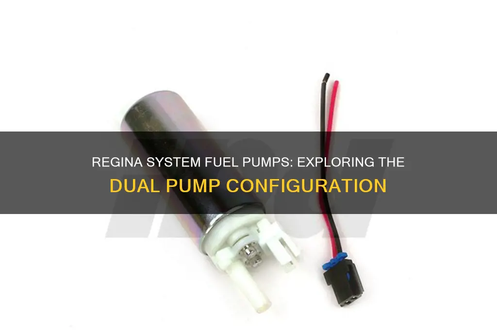does the regina system have two fuel pumps