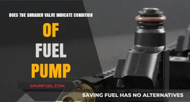 Does Schrader Valve Condition Reflect Fuel Pump Health?