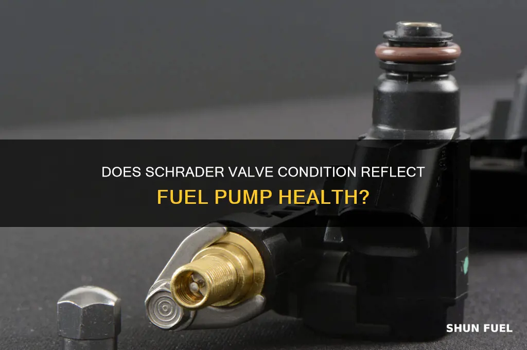 does the shrader valve indicate condition of fuel pump