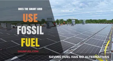 Smart Grid and Fossil Fuel: What's the Connection?