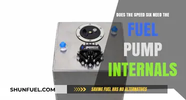 Speed Six Fuel Pump Internals: Essential Upgrade or Optional?
