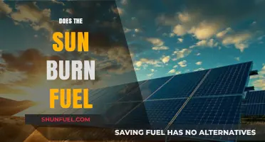 Does the Sun Burn Fuel? Unraveling Our Star's Energy Source