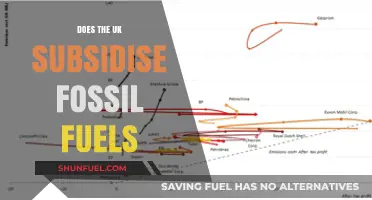 UK Fossil Fuel Subsidies: Who Benefits?