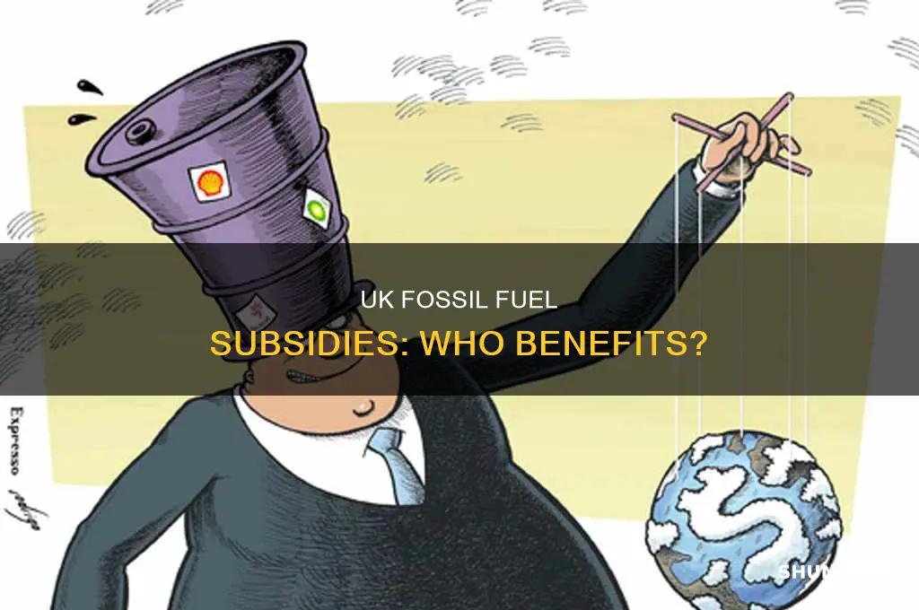 does the uk subsidise fossil fuels