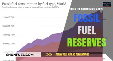 US Fossil Fuel Reserves: What's the Status?