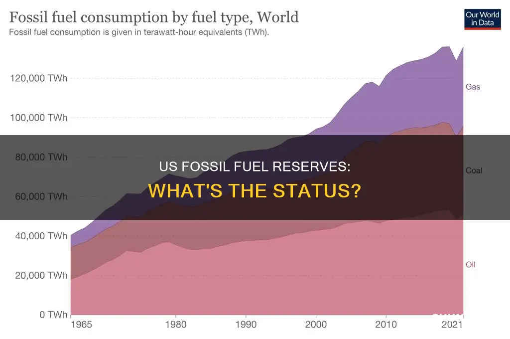 does the united states have fossil fuel reserves