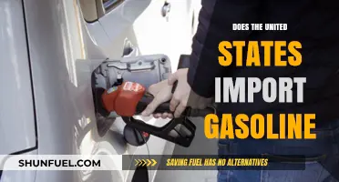 Examining the Fuel Flow: Does the U.S. Import Gasoline?
