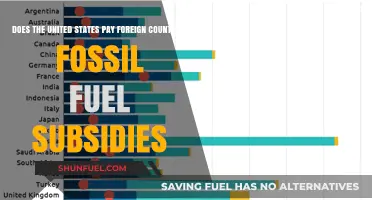 US Fossil Fuel Subsidies Abroad: Who Benefits?