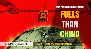 Who Burns More: US or China?