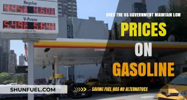 Examining the US Government's Role in Gasoline Pricing