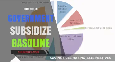 Exploring the Myths: Does the US Government Subsidize Gasoline?
