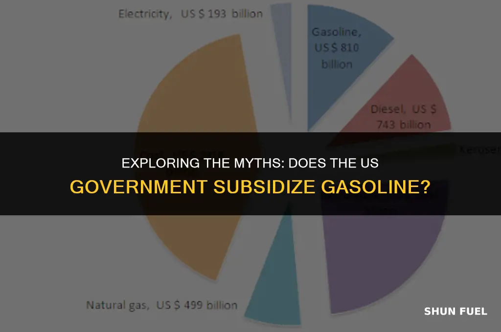 does the us government subsidize gasoline