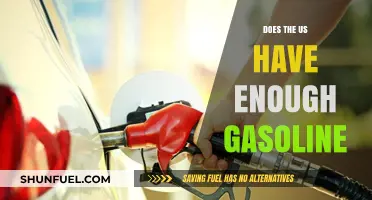 Examining the US Gasoline Supply: Is There Enough to Meet Demand?