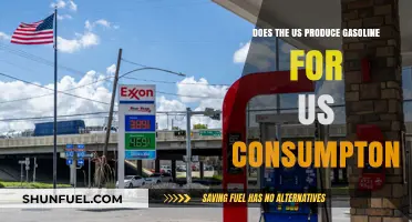 Examining the Myth: Does the U.S. Produce Enough Gasoline for Domestic Consumption?