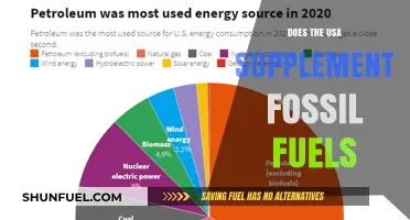The USA's Fossil Fuel Addiction: Exploring Alternative Energy Sources