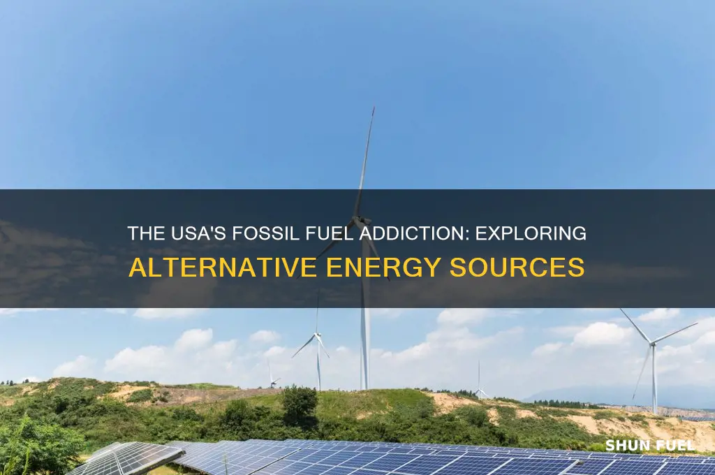 does the usa supplement fossil fuels