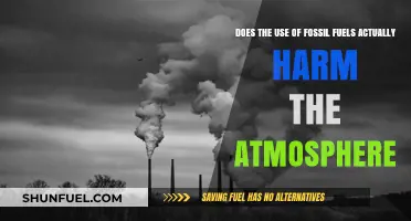 Fossil Fuels: Harming Our Atmosphere?