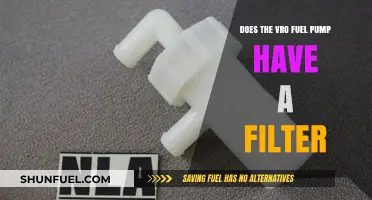 Fuel Pump Filter: Does the VRO Fuel Pump Have One?