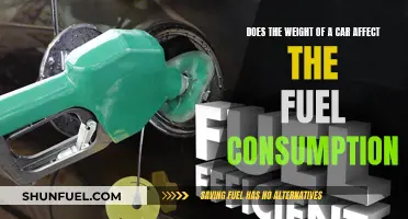 Weighty Issue: Car Weight and Fuel Efficiency Explored
