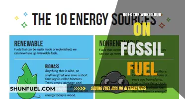 Fossil Fuels: Powering the World or Slowing It Down?