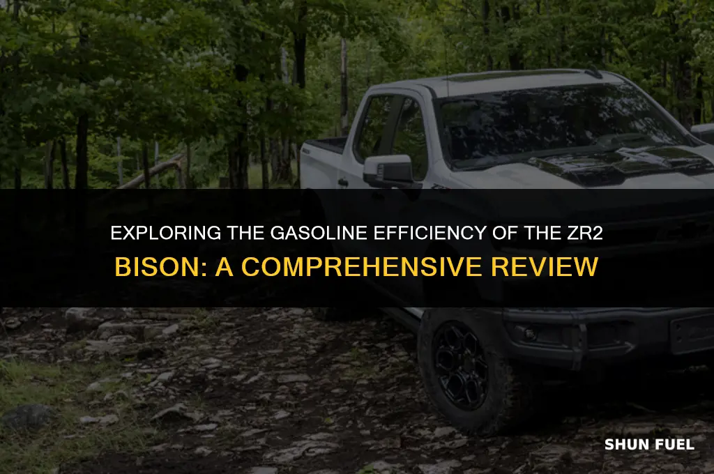does the zr2 bison in gasoline