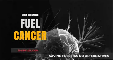 Thiamine's Role in Cancer: Fueling Growth or Supporting Treatment?