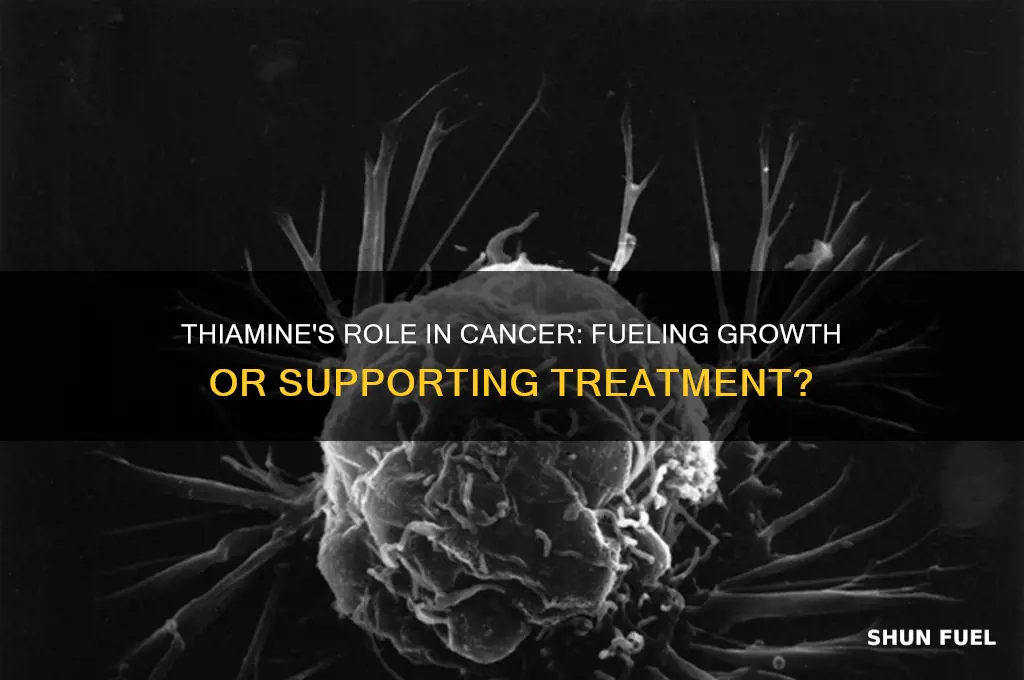 does thiamine fuel cancer