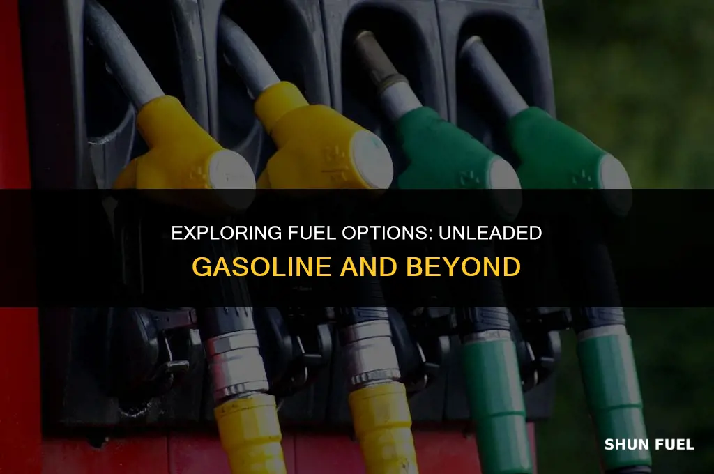 does thing run off regular unleaded gasoline