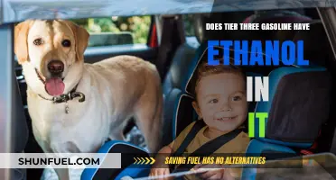 Exploring the Ethanol Content in Tier Three Gasoline