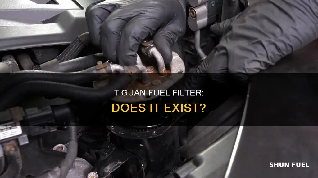 does tiguan have a fuel filter