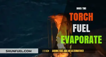 Does Tiki Torch Fuel Evaporate? Understanding Fuel Loss and Solutions