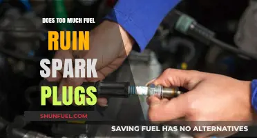 Fuel and Spark Plugs: A Delicate Balance