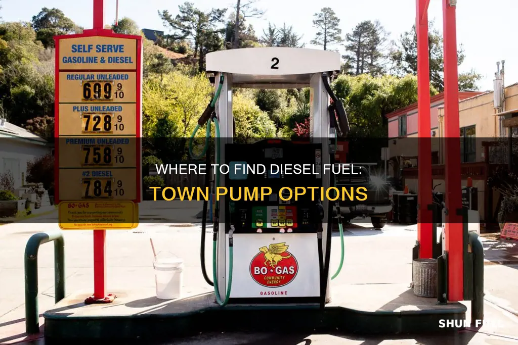 does town pump have diesel fuel