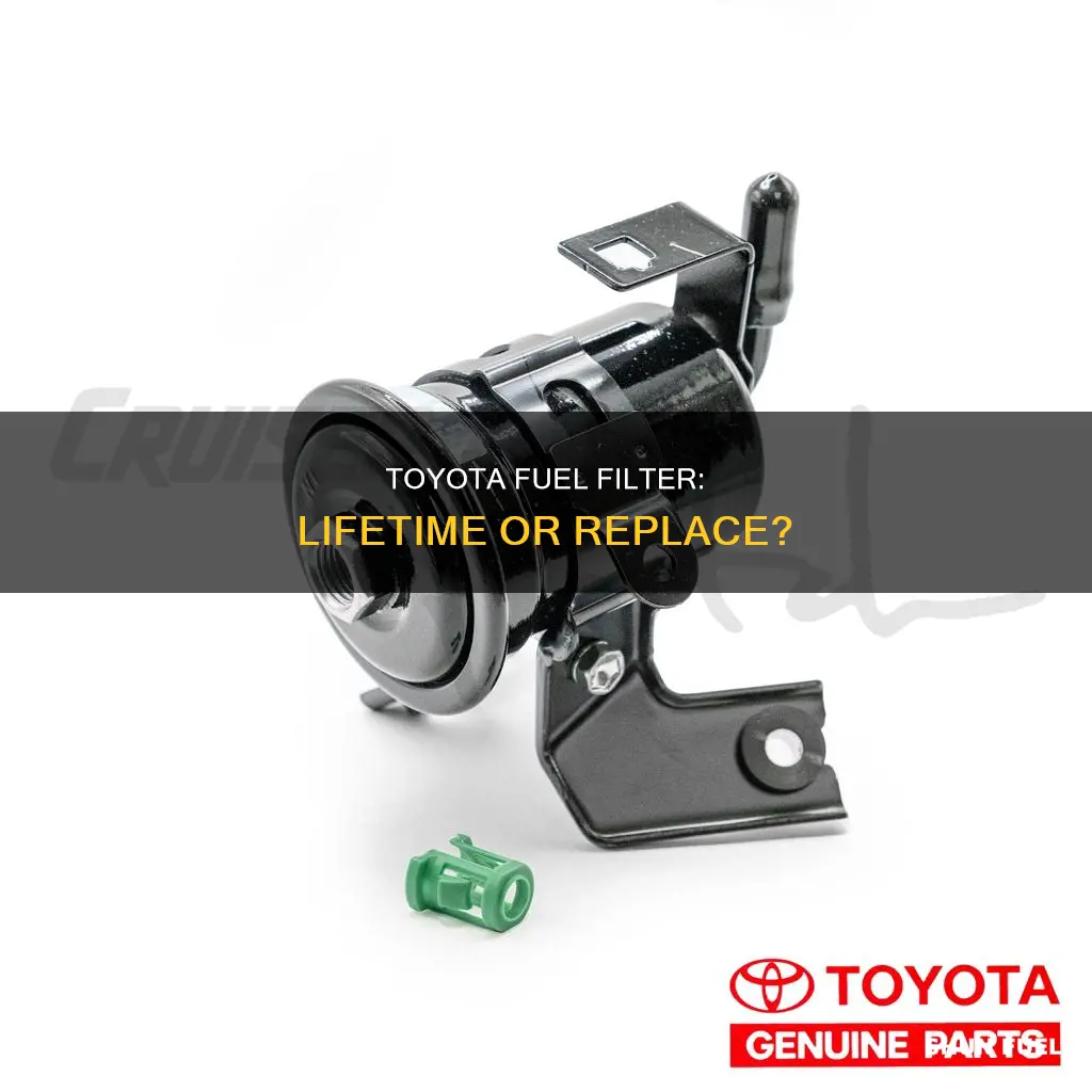 does toyot ahave lifetime fuel filter replacement