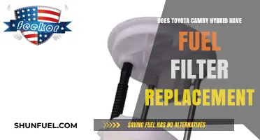 Camry Hybrid Fuel Filter: When and How to Replace